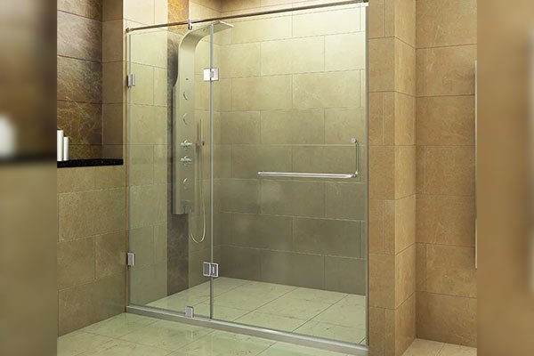 Glass Partition and Shower Door
